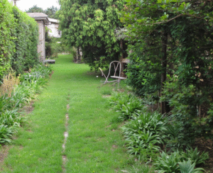 Overgrown garden at a New Zealand home, showing the risks for older people – gardening services for older people in Christchurch and Tauranga